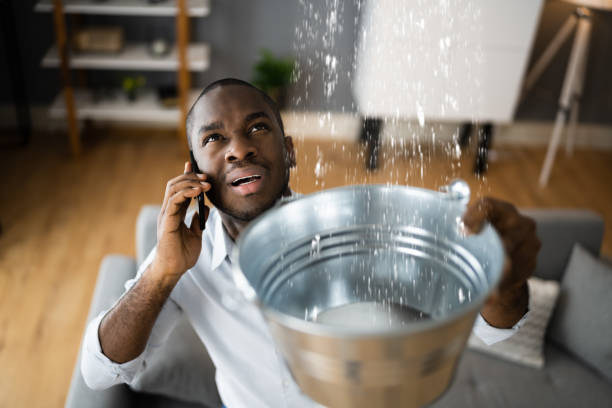 Best Sewage cleanup and water damage restoration  in Montello, WI