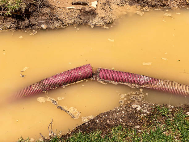  Montello, WI Water damage restoration Pros
