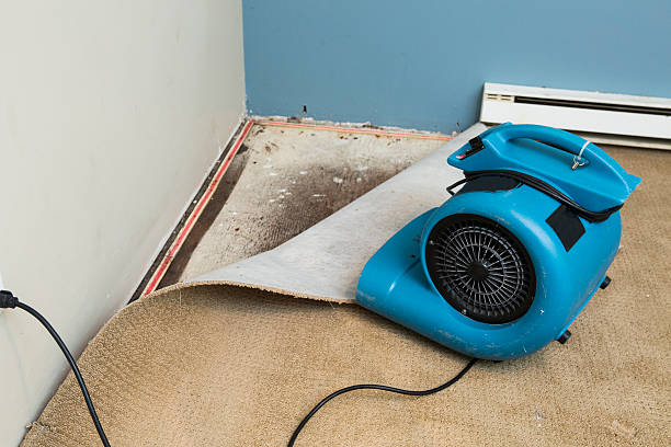 Best Water damage restoration specialists  in Montello, WI